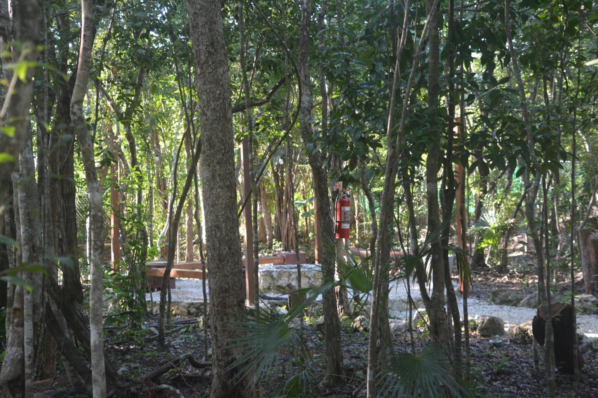 Glamping Mayan Glam Tulum Exterior photo